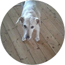 Izzy S profile picture